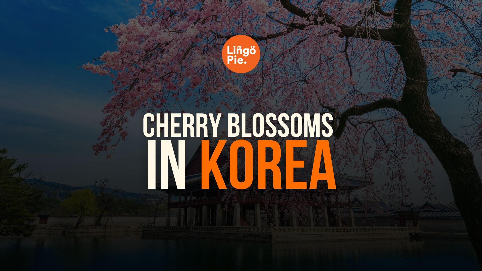 Cherry Blossoms In Korea: Forecast And Spots To Visit