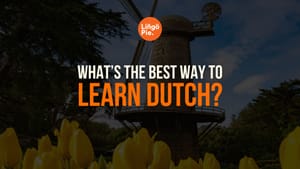 What’s The Best Way To Learn Dutch On Your Own? [2025 Guide]