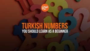 How To Count Turkish Numbers You Should Learn As A Beginner